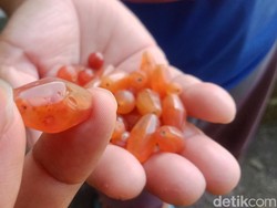 Harta Karun Kuno Ditemukan di Klaten, Warga Pernah Dapat Batu Manik