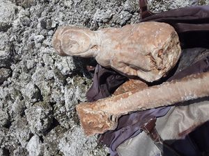 Heboh Warga Kupang Temukan Patung Bunda Maria di Lokasi Galian C Heboh Warga Kupang Temukan Patung Bunda Maria di Lokasi Galian C
