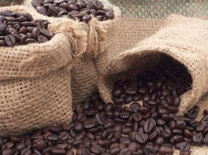 5 Surga Kopi di Dunia, Salah Satunya Indonesia 5 Surga Kopi di Dunia, Salah Satunya Indonesia