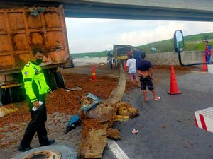 Truk Tabrak Tronton di Tol Permai, Brondolan Sawit Berserakan