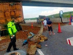 Truk Tabrak Tronton di Tol Permai, Brondolan Sawit Berserakan