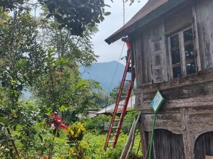Kabel Listrik Kendor Bahayakan Warga Agam, Andre Rosiade Colek Bos PLN