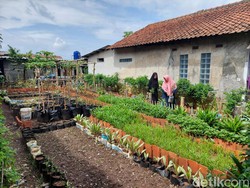 Kampung Cengek di Lahan Sempit Cimahi