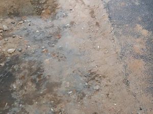 Heboh Warga di Medan Cekcok dengan Kelurahan gegara Cor Bahu Jalan