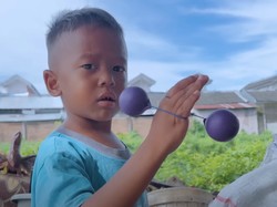 Mengenal Lord Arnold, Jagoan Mainan Latto-Latto dari Makassar