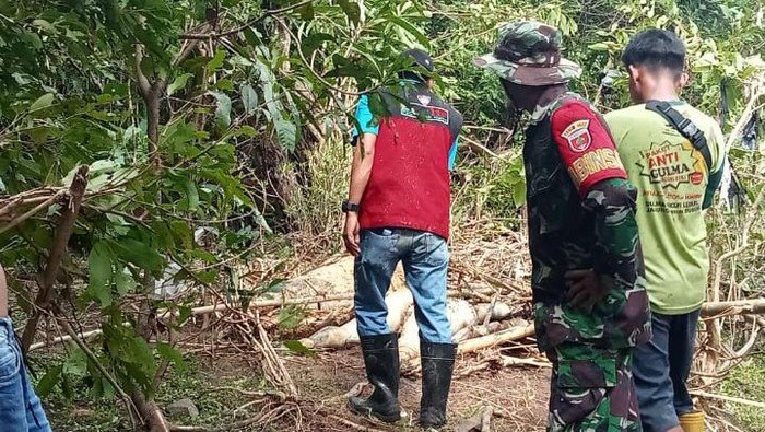 Dua jenazah diduga korban longsor di wilayah Camba, Kecamatan Cenrana, Kabupaten Maros, Sulawesi Selatan (Sulsel) ditemukan di dua tempat berbeda.