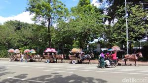 Deretan Delman yang Bakal Dilarang Beroperasi Lagi di Monas