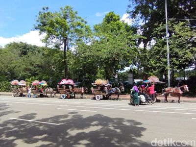 Deretan Delman yang Bakal Dilarang Beroperasi Lagi di Monas
