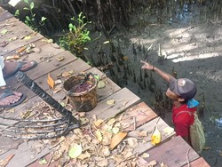 Polisi Hutan Tegur Pencari Cacing di Tahura Ngurah Rai