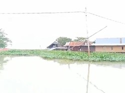 5 Hari Banjir Rendam Permukiman di Sidrap, 18 KK Mengungsi