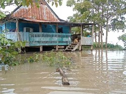 Danau Sidenreng Meluap, 169 Rumah di Sidrap Terendam Banjir 2 Meter