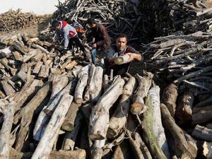Harga Gas Melonjak, Warga di Jalur Gaza Beralih ke Kayu Bakar Harga Gas Melonjak, Warga di Jalur Gaza Beralih ke Kayu Bakar