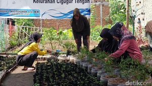 Potret Kampung Cengek Cimahi di Tengah Keterbatasan Lahan