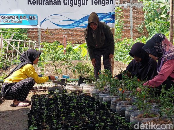 Potret Kampung Cengek Cimahi di Tengah Keterbatasan Lahan