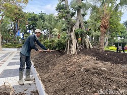 Penemuan Granat Balai Kota Surabaya, DLH Evaluasi Pengambilan Tanah Taman
