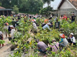 Semangat Petani Bandung Hijaukan Lahan Semangat Petani Bandung Hijaukan Lahan