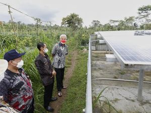 Petani Purworejo Bisa 3 Kali Panen Berkat Pompa Air Tenaga Surya