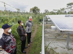 Petani Purworejo Bisa 3 Kali Panen Berkat Pompa Air Tenaga Surya