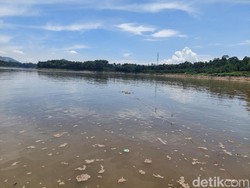 Pakar Soroti DAS Citarum Terkontaminasi Paracetamol dan Amoxilin