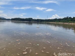 Pakar Soroti DAS Citarum Terkontaminasi Paracetamol dan Amoxilin Pakar Soroti DAS Citarum Terkontaminasi Paracetamol dan Amoxilin