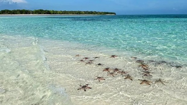 Pulau Palawan jadi pulau paling diinginkan di dunia