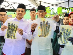 Sandiaga-PWNU DKI Panen Hasil Budi Daya Lele, Omzet Capai Rp 17 Juta