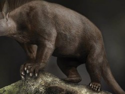 Bagaimana Nenek Moyang Kita Bertahan dari Kiamat Asteroid?