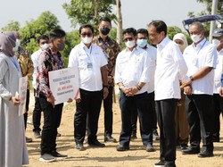 Dorong UMKM Go Global, BNI Sediakan Dana KUR Rp 36 Triliun di 2023