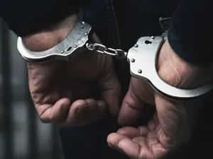 Mengumpat Pakai Kata Anjing ke Orang Lain Bisa Dipidana? Ini Kata Ahli