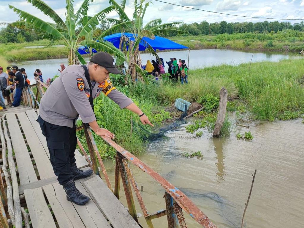 Hendak Menjala Ikan, Remaja di Lampung Tewas Diserang Buaya Hendak Menjala Ikan, Remaja di Lampung Tewas Diserang Buaya