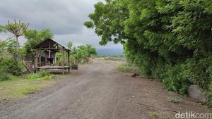 Savana Tianyar Bali, Kondisimu Kini