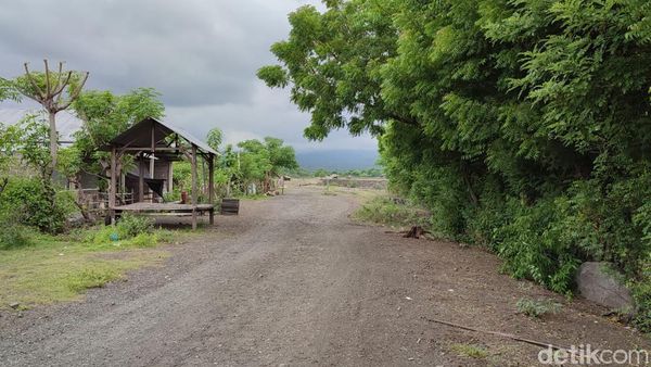 Savana Tianyar Bali, Kondisimu Kini