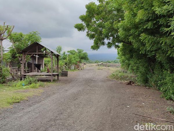 Savana Tianyar Bali, Kondisimu Kini