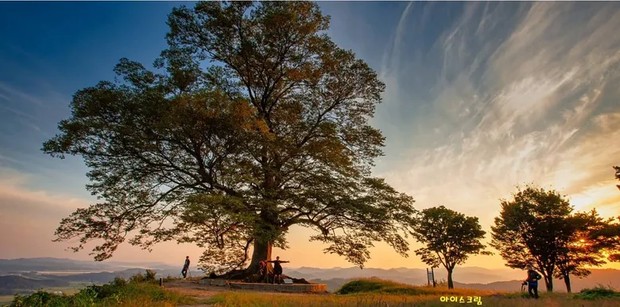 Selain jadi lokasi syuting, tempat ini juga populer sebagai tempat hunting foto / Foto: kpopmap.com Selain jadi lokasi syuting, tempat ini juga populer sebagai tempat hunting foto / Foto: kpopmap.com