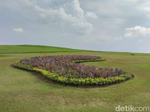 Potret Taman 4.000 Hektar di Utara Tanah Gajah Putih
