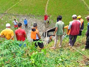Mobil Pikap Tercebur Jurang hingga Terguling di Sawah Tawangmangu