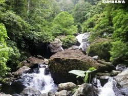 Air Terjun Agal, Surga Tersembunyi di Hutan Belantara Sumbawa