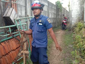 Warga Cibinong Bogor Kaget Ada Biawak di Gerobak Dagangannya Warga Cibinong Bogor Kaget Ada Biawak di Gerobak Dagangannya