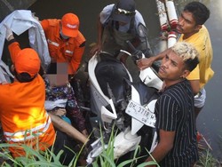 Kronologi Bule Ukraina Tewas Jatuh ke Sungai di Shortcut Canggu