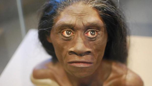 Ilustrasi homo floresiensis
