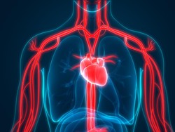 Berapa Banyak Darah yang Ada di Tubuh Manusia?