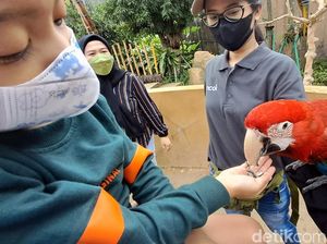 Kalender Jawa Kamis Legi 9 Februari 2023: Mudah Dapat Burung