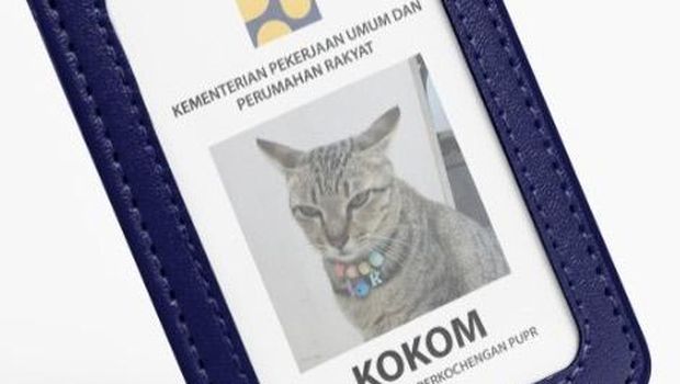 Kokom Kucing Kementerian PUPR