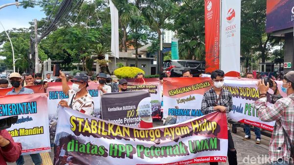 Puluhan Peternak Seruduk Kantor Zulhas Tuntut Stabilkan Harga Ayam