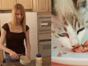 Miris! Jutawan Ini Pilih Makan Makanan Kucing untuk Berhemat