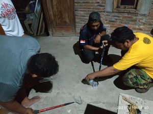 Ngeri! Rumah di Sragen Jadi Sarang Ular Kobra, Ini Kontak Exalos Indonesia