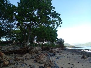 Abrasi Rusak Kuburan-Lapangan Bola di Flores Timur