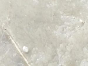 Hujan Es Sebesar Kelereng Guyur Sumedang Selatan