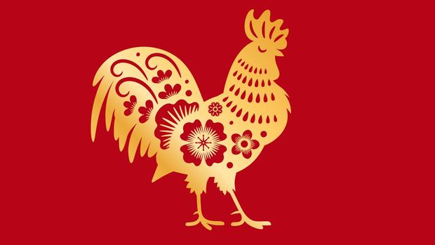 ilustrasi shio ayam