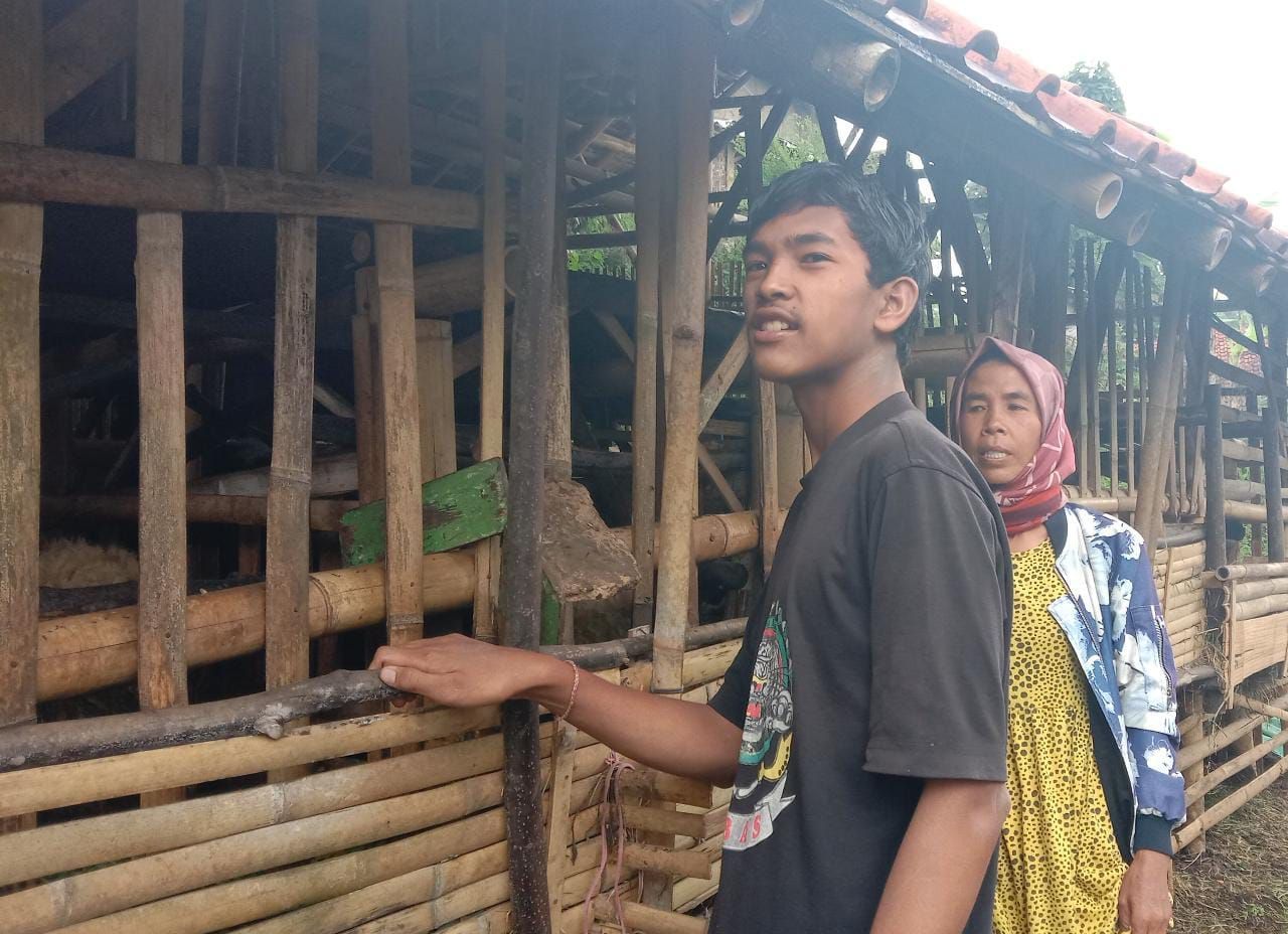 Kabar baik datang dari Keluarga Bu Enung. Anak-anak Bu Enung yang sebelumnya berharap penghasilan dari pekerjaan pencari batu, sekarang mulai beternak domba.
